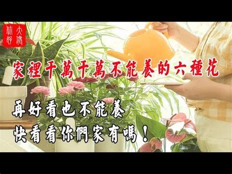 家裡不能放的花|這10種花不適合放在室內，家裡有的趕緊搬走